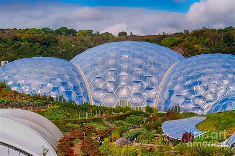  The Eden Project: A Biome Wonderland of Biodiversity and Botanical Brilliance!