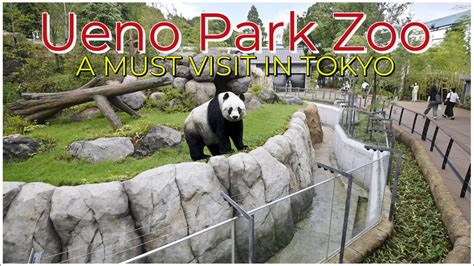 Ueno Zoo: A Menagerie of Wonders and Urban Tranquility!