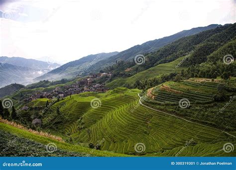 Longji Rice Terraces: A Majestic Tapestry Woven Across Mountain Slopes!