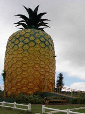 The Big Pineapple: A Quirky Roadside Attraction Offering Delicious Treats and Stunning Views!